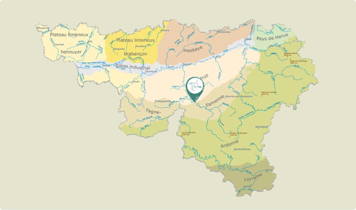 Image2