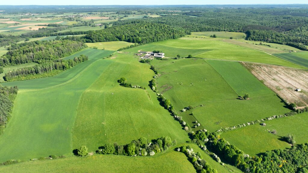 Orval
