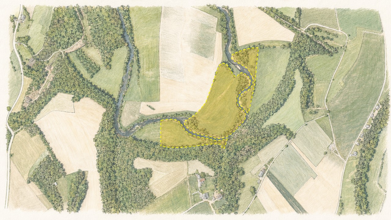 Image2