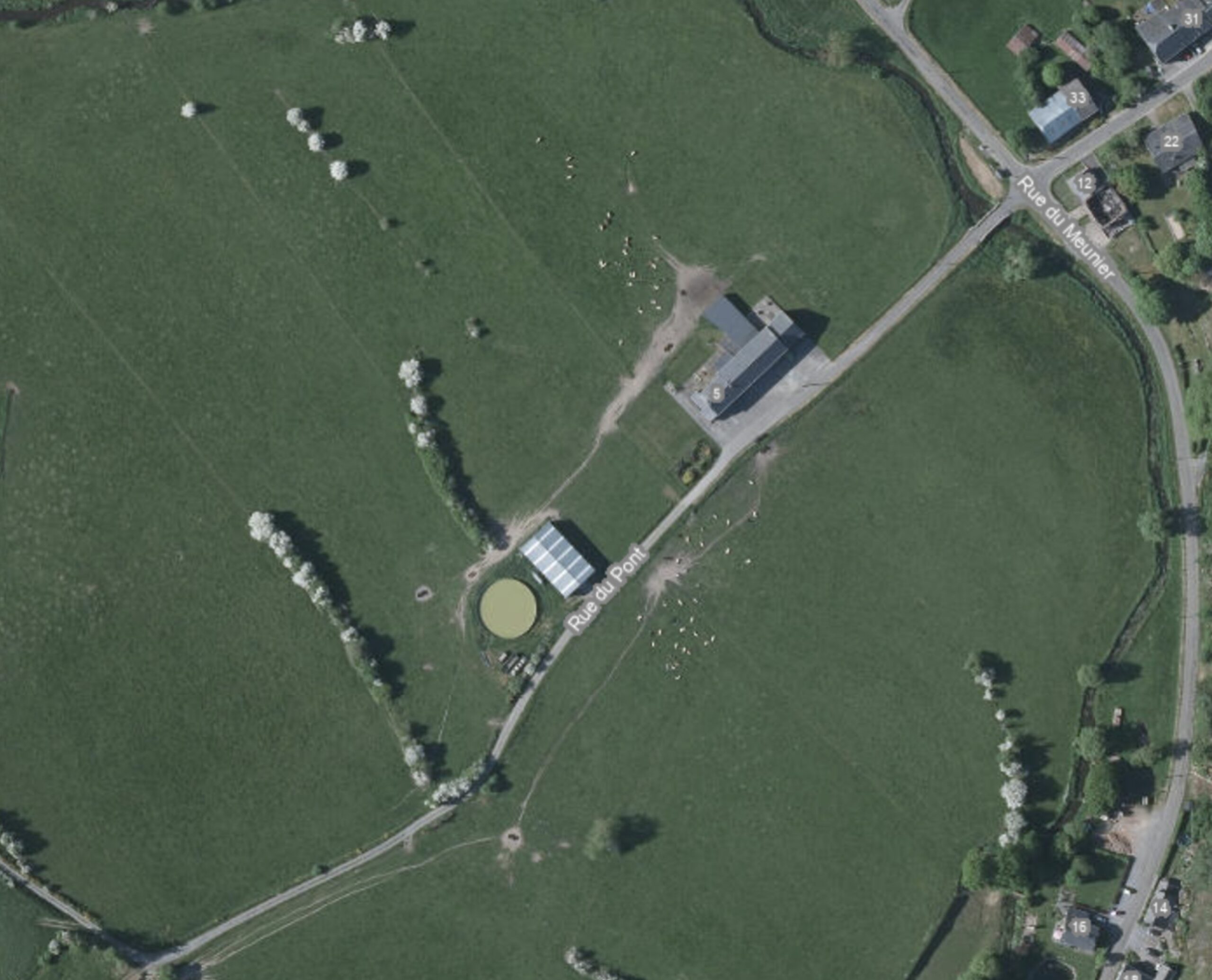 Image3