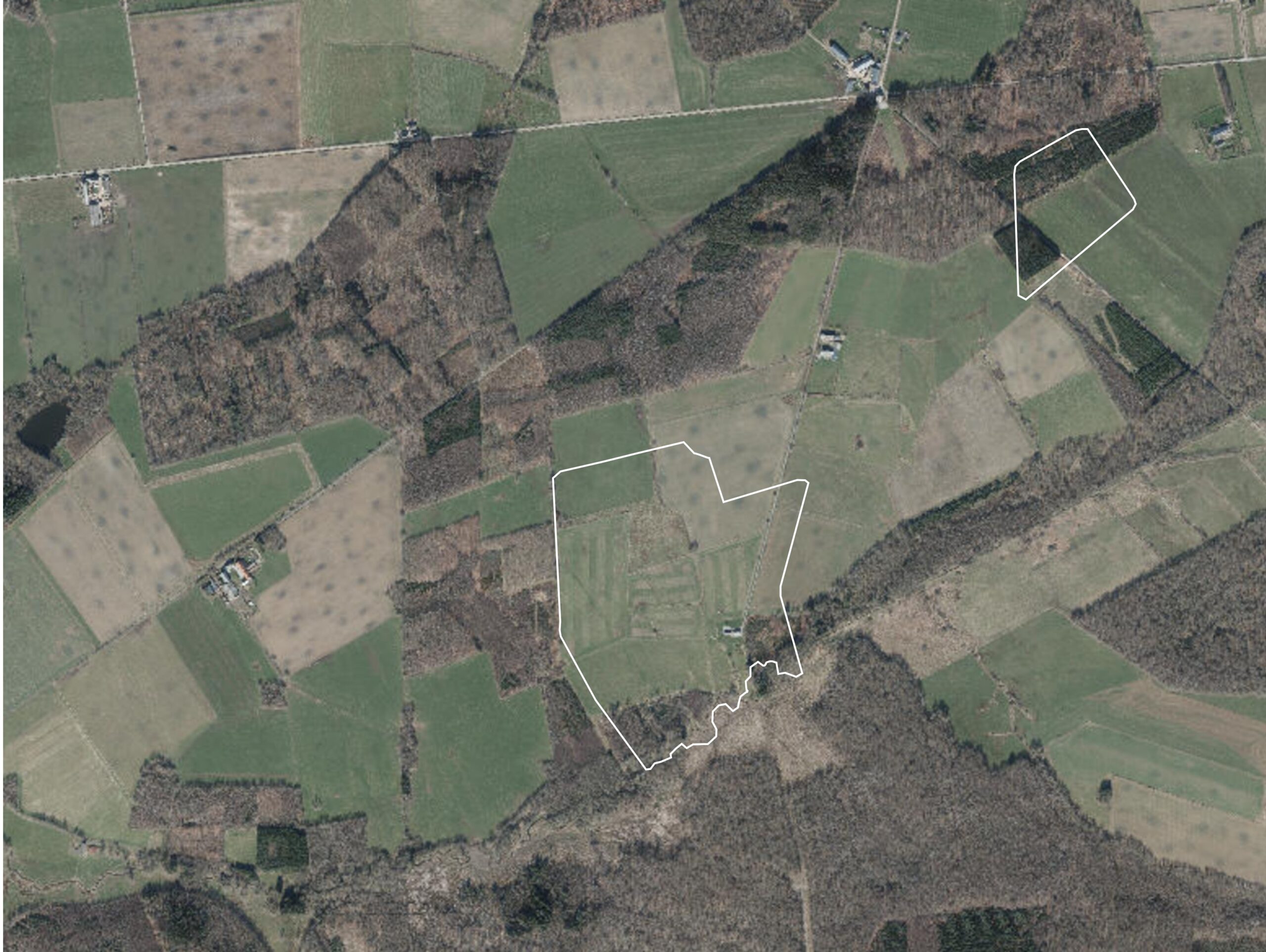 Image2