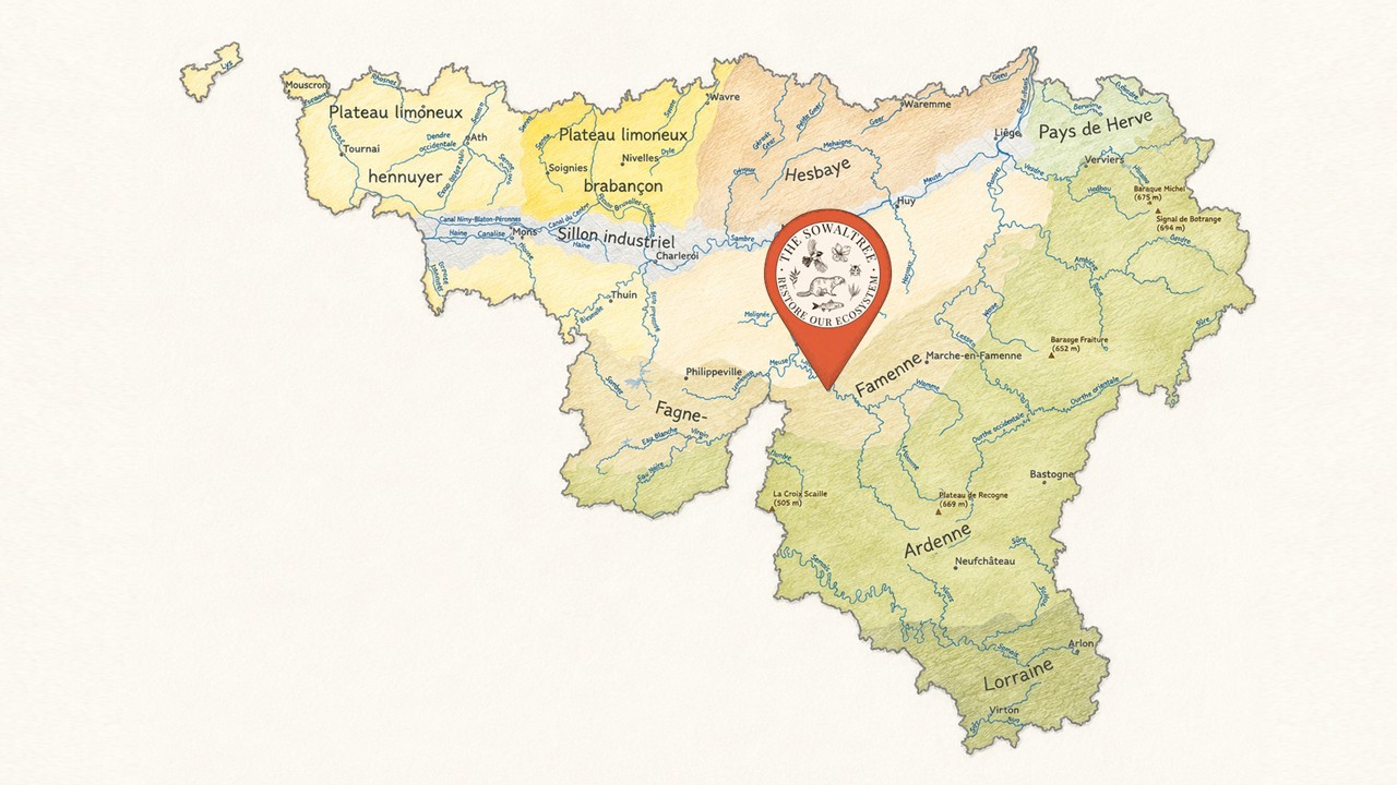 Image1